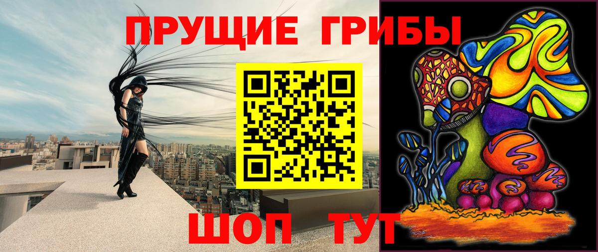 наркошоп  Галлюциногенные грибы Psilocybe  Вход с VPN  Артём 